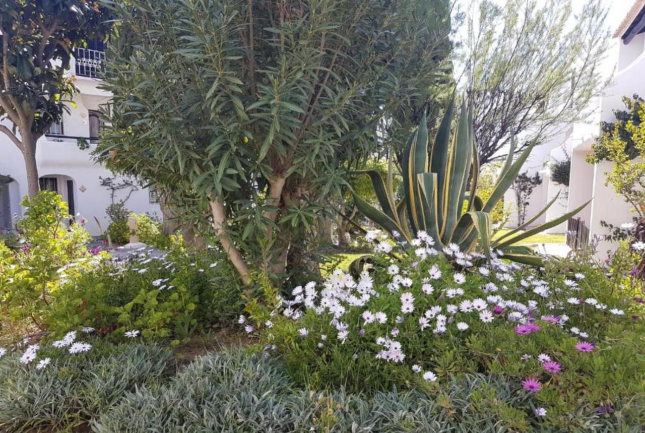 Apartment Sao Rafael Holidays 알부페이라 외부 사진